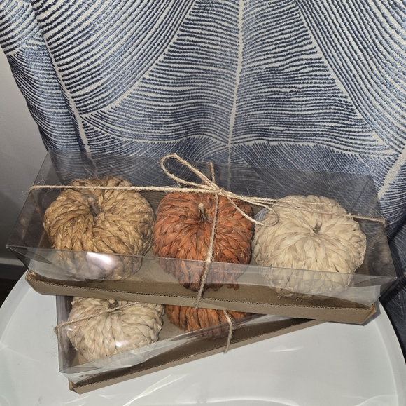 3 piece pumpkins NEW WITH TAG. - Picture 2 of 3